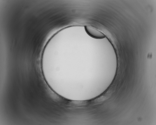 X0000102371344200808291240