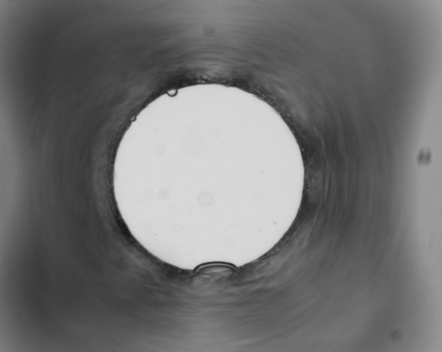 X0000102371345200808291239
