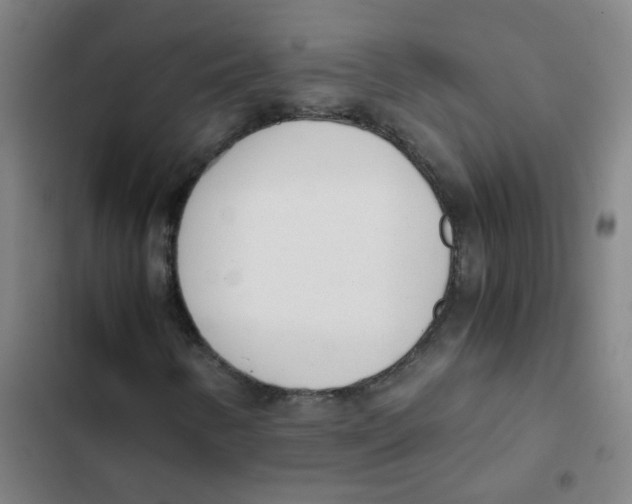 X0000102371346200808291239