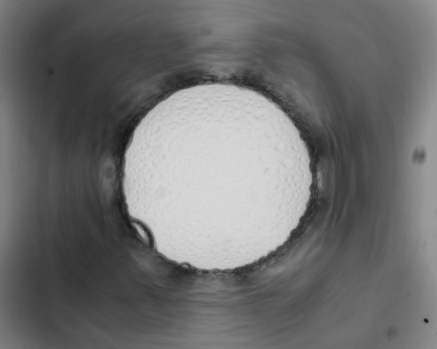 X0000102371347200808291239