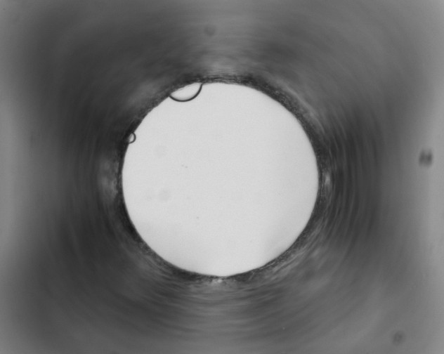 X0000102371348200808291239