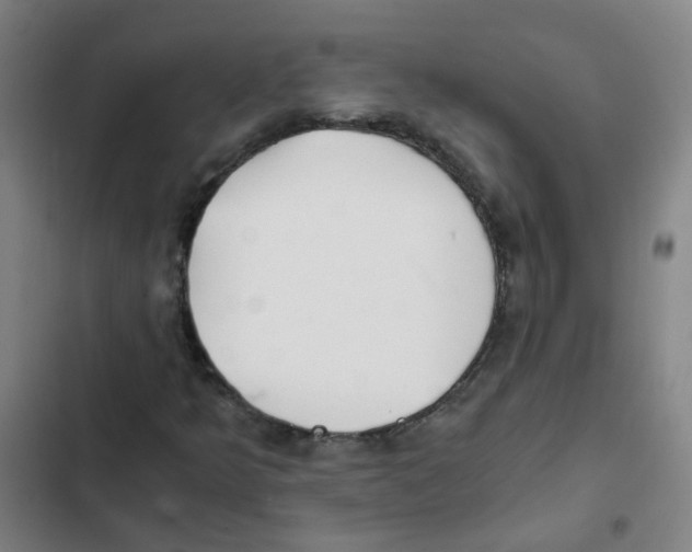 X0000102371349200808291239
