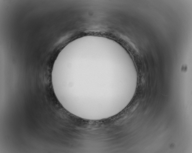 X0000102371350200808291239