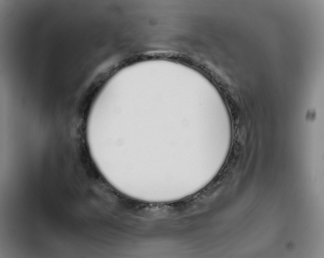 X0000102371351200808291239