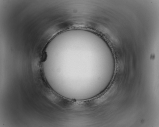 X0000102371353200808291239