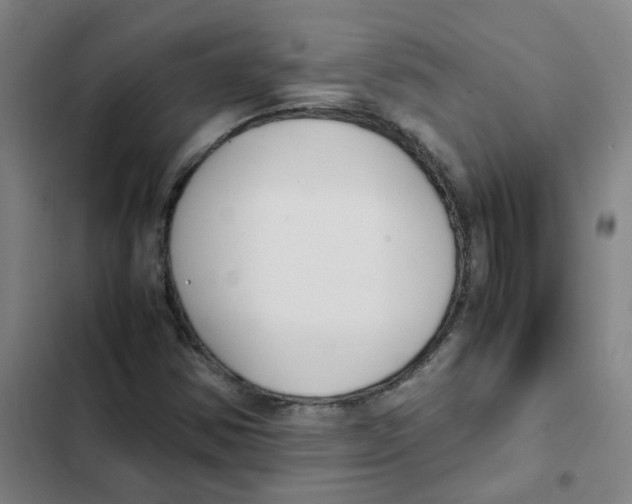 X0000102371354200808291239