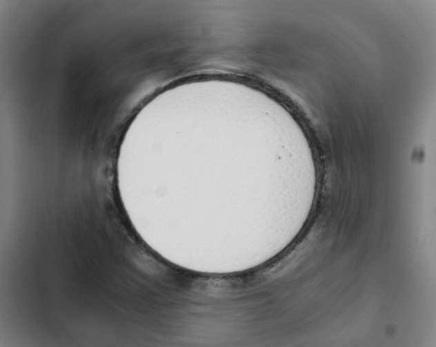 X0000102371355200808291239