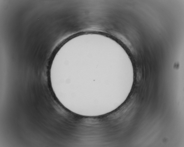 X0000102371356200808291239