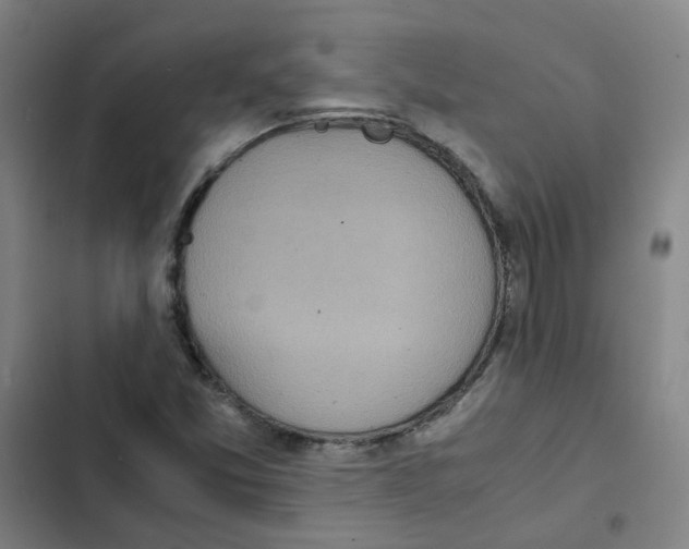 X0000102371357200808291239