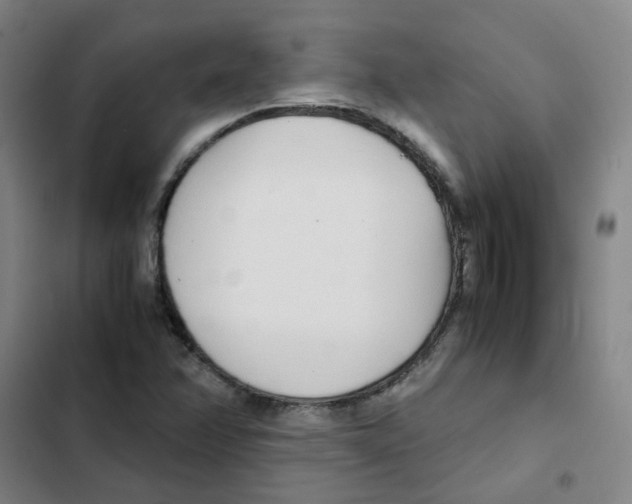 X0000102371358200808291239