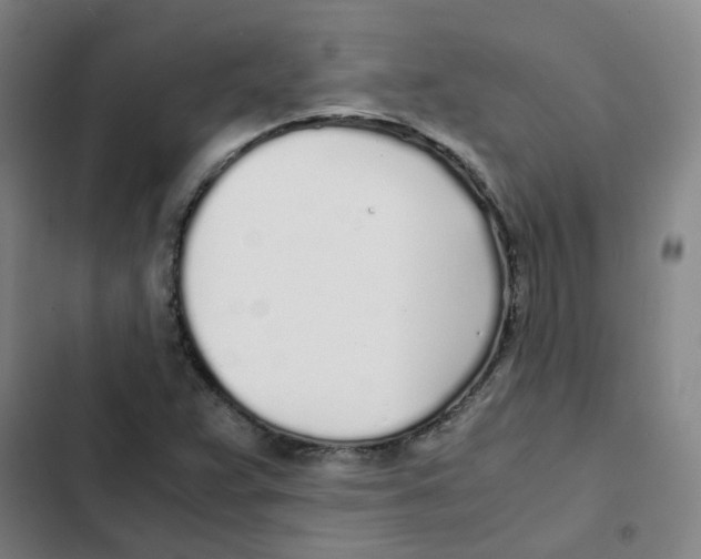X0000102371359200808291239