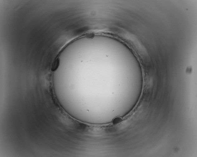 X0000102371361200808291239