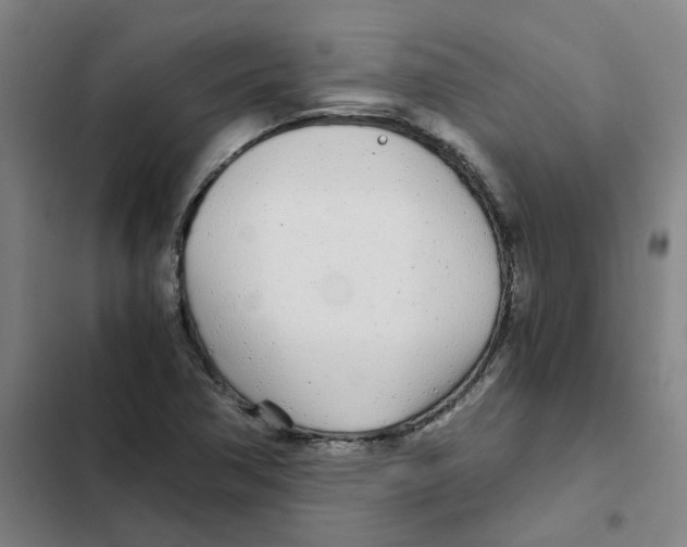 X0000102371362200808291239