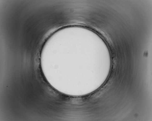 X0000102371363200808291239