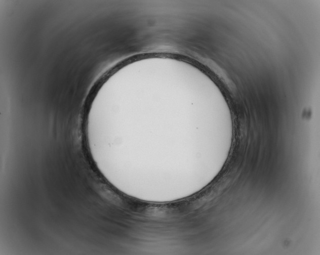 X0000102371364200808291239