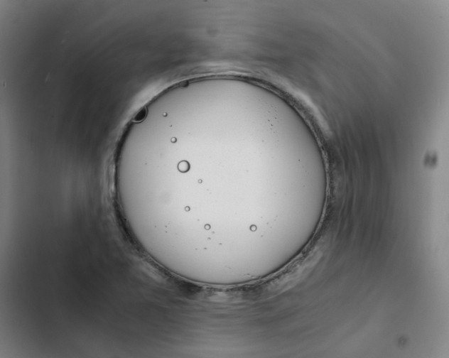X0000102371365200808291239