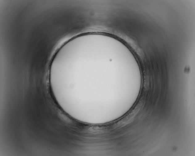 X0000102371366200808291239
