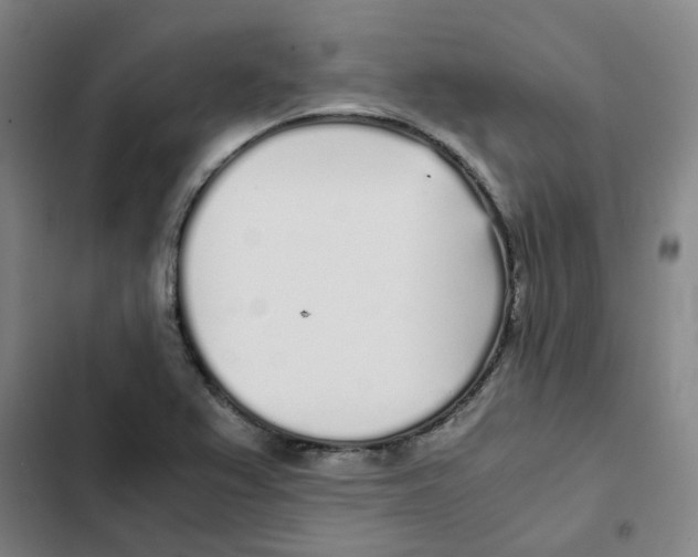 X0000102371367200808291239