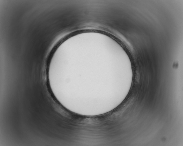 X0000102371368200808291239