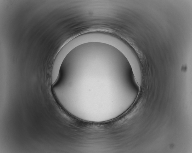 X0000102371369200808291239