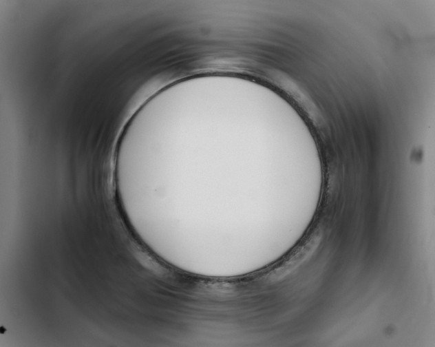 X0000102371370200808291239