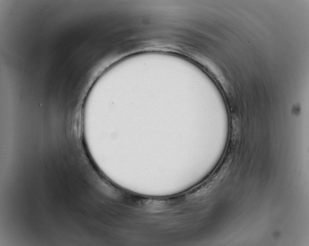 X0000102371371200808291239