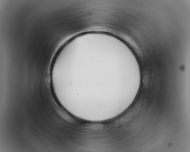 X0000102371372200808291239