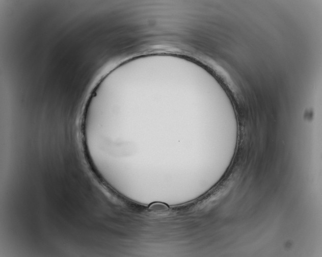 X0000102371373200808291239