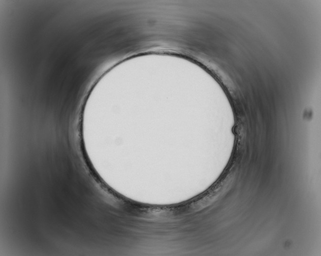 X0000102371375200808291239