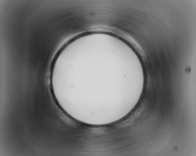 X0000102371376200808291239