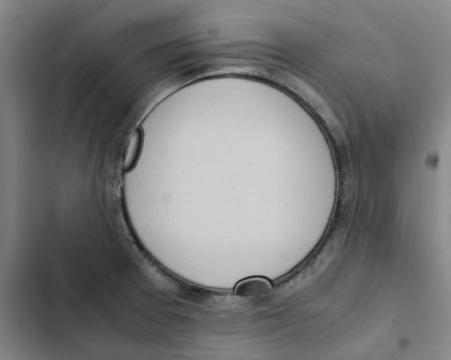X0000102371377200808291239