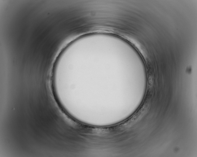 X0000102371379200808291239