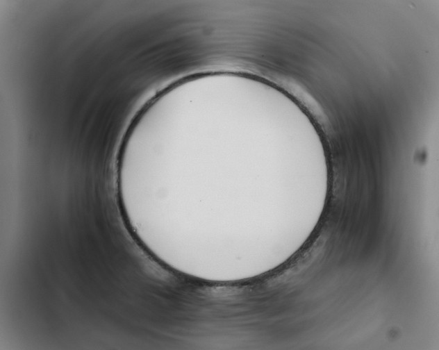 X0000102371380200808291239