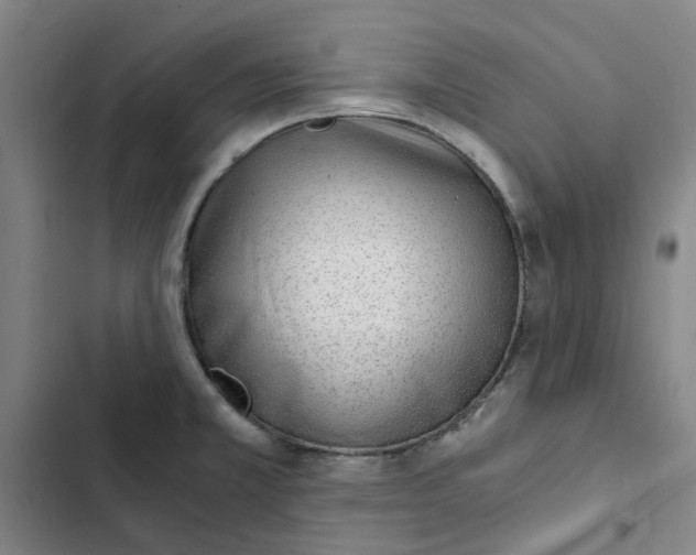 X0000102371381200808291239
