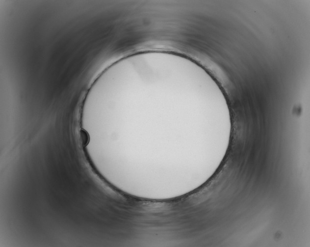 X0000102371382200808291238