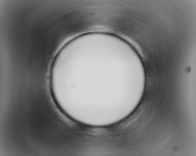 X0000102371383200808291238