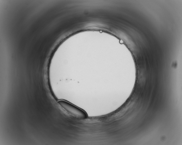 X0000102371384200808291238
