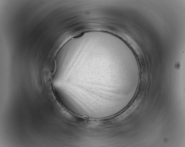X0000102371385200808291238