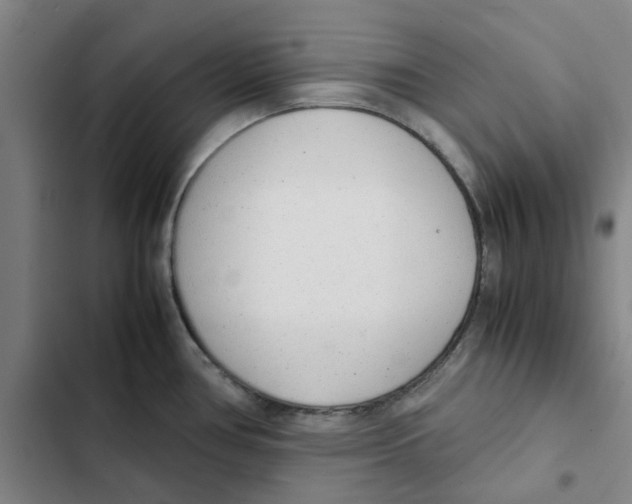 X0000102371386200808291238
