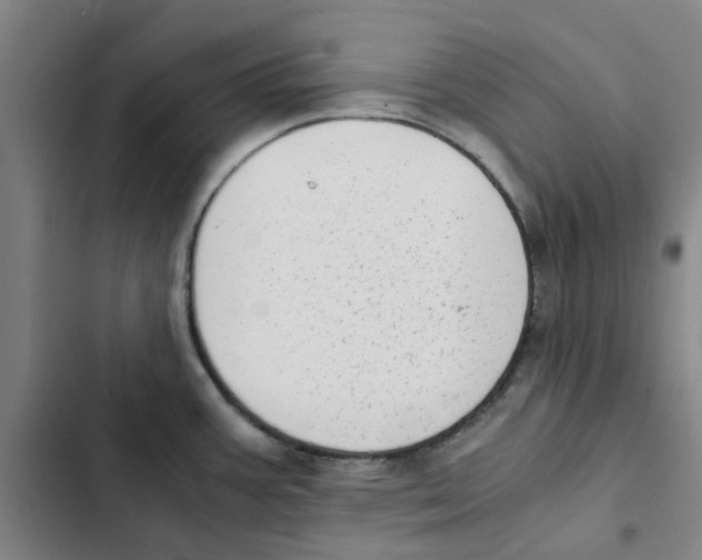 X0000102371387200808291238