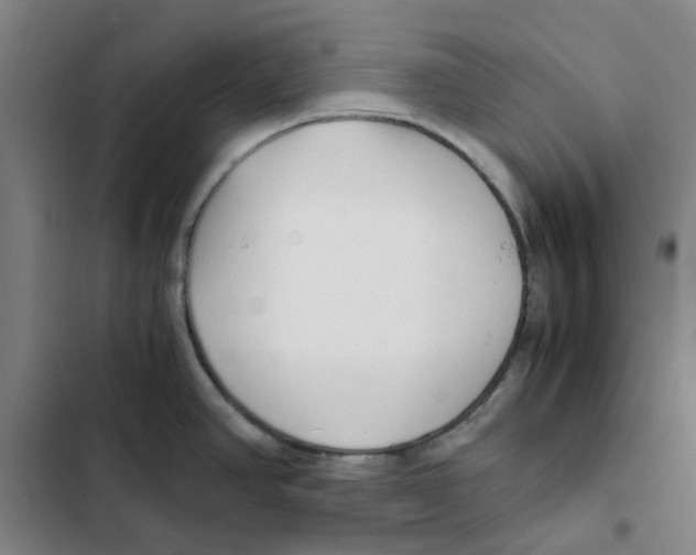 X0000102371390200808291238
