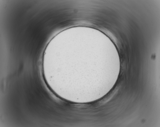 X0000102371391200808291238