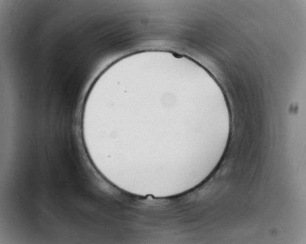 X0000102371392200808291238