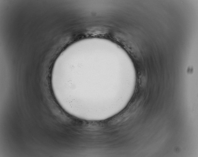 X0000102371393200808291238