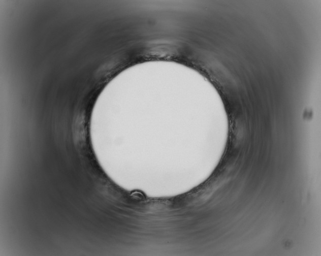 X0000102371394200808291238