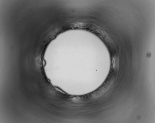 X0000102371395200808291238