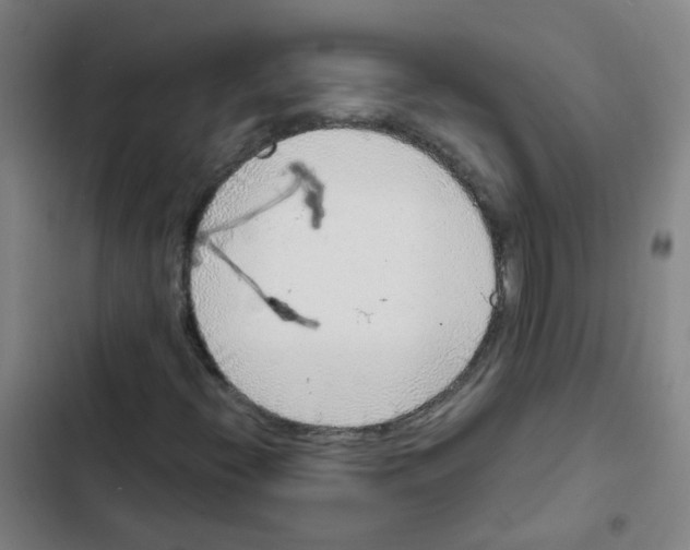 X0000102371396200808291238