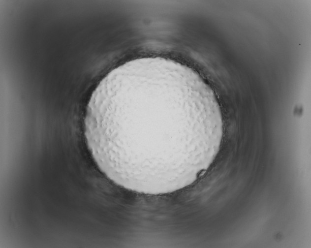 X0000102371397200808291238