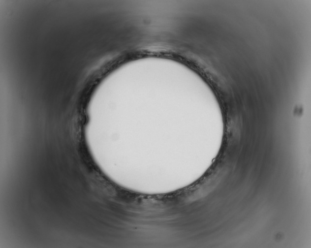 X0000102371398200808291238