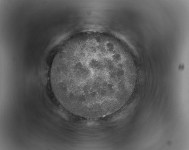 X0000102371399200808291238
